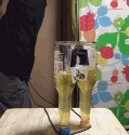 无手挑战开瓶盖